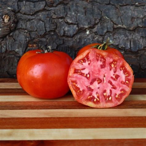 Bush Beefsteak Tomato