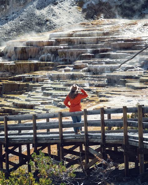 Mammoth Hot Springs Yellowstone National Park — Flying Dawn Marie Travel Blog Guides