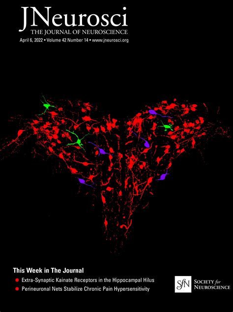 Emotion Downregulation Targets Interoceptive Brain Regions While