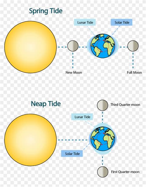 When The Sun And The Moon Are At Right Angles To Each Spring Tide And