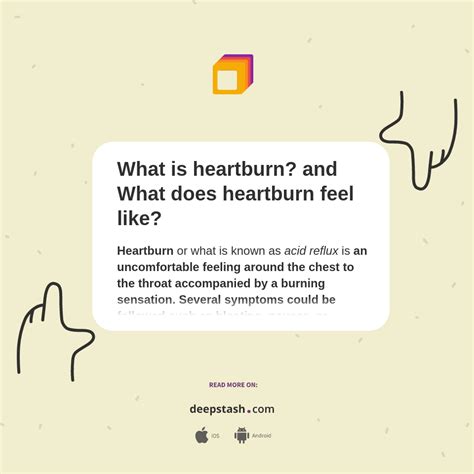 What Is Heartburn And What Does Heartburn Feel Like Deepstash