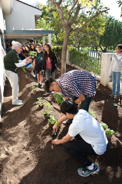 Irvine School News Students Plant Herb Garden Orange County Register