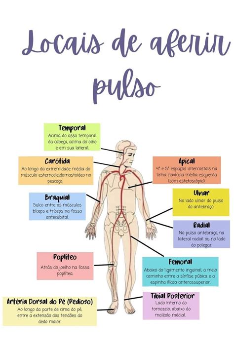 Locais De Aferir Pulso Cuidados De Enfermagem Material De Enfermagem