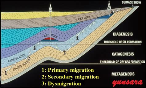 yunsara2: petroleum system