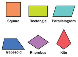 Area of Quadrilaterals problems & answers for quizzes and worksheets ...