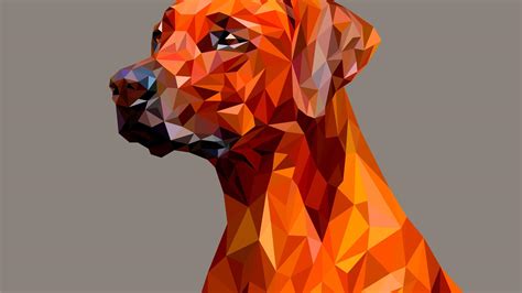 Polygon Animal Wallpapers Top Free Polygon Animal Backgrounds