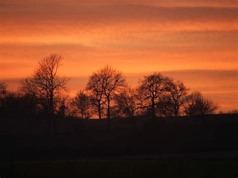 Glos Sunsets 29 Naked Trees Warm Coloured Sky Alan P Jones Flickr