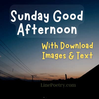 70+ Beautiful Good Afternoon Sunday Images - Linepoetry