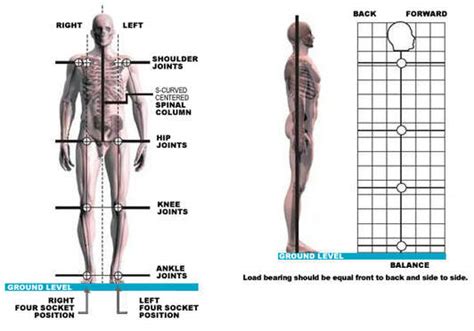 Postural Alignment Therapy Able Bodies