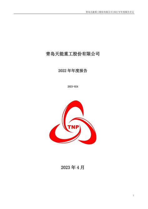 300569 天能重工 2022年年度报告pdf报告 报告厅