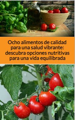 Ocho Alimentos De Calidad Para Una Salud Vibrante Descubra Opciones