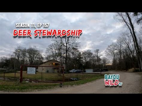 Bayou Wild Ep Deer Stewardship Season Full Episode