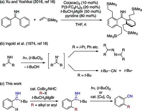 Nh Imine As Directing And Transformable Functional Group For