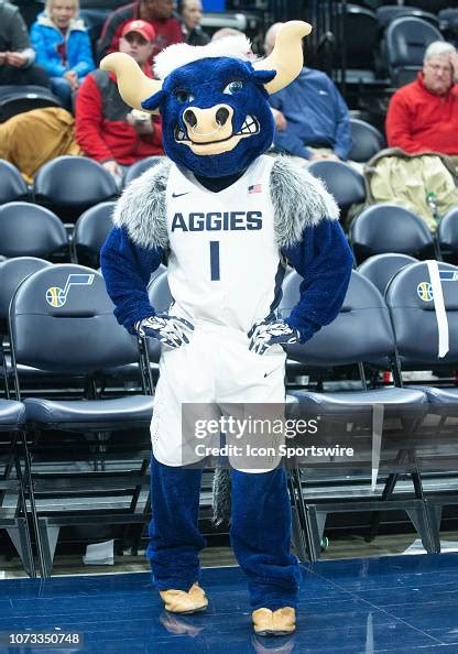 The Utah State mascot Big Blue just before a game between the Weber ...