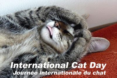 Journ Es Mondiales Ao T Journ E Internationale Du Chat Green