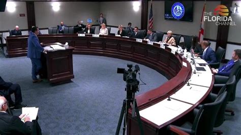 Florida Senate Committee votes 4-2 to advance amendment that would end ...