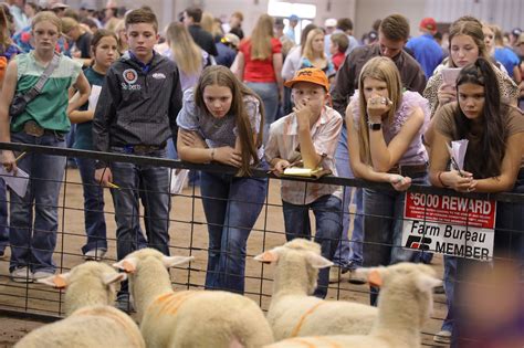 Oklahoma State Fair Livestock Show Anny Liliane