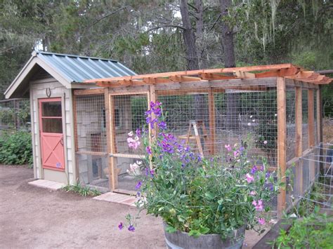 Chicken Runs Ideas Pens Hen House In Chickens Backyard Portable