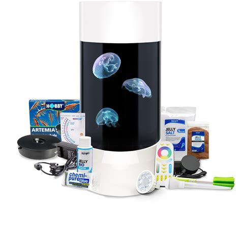 Jellyfish Aquarium Kits – Jellyfish Art