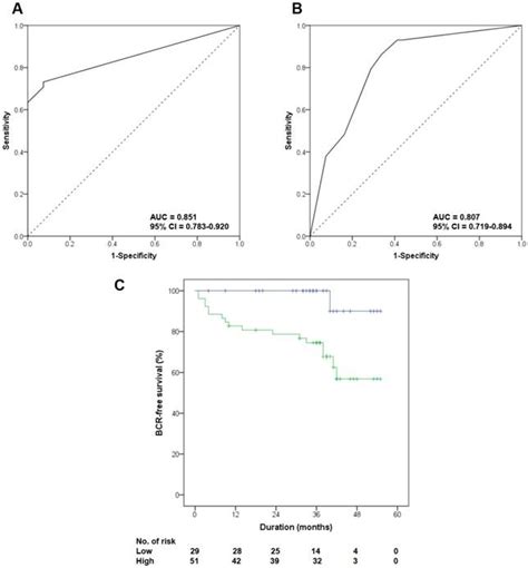 High Foxm1 Expression Is A Prognostic Marker For Poor Clinical Outcomes