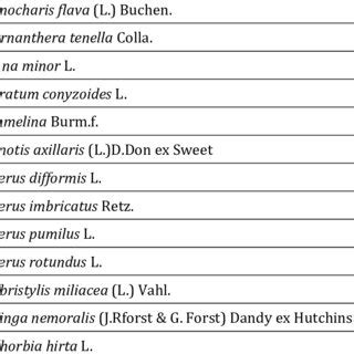 List Of Weedy Plants Identified From The Study Area Sl No Name Of Weedy