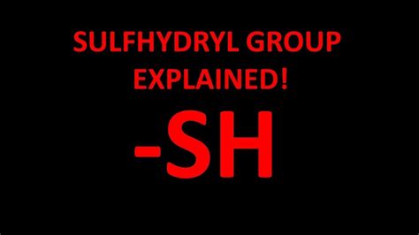 Sulfhydryl Group Model