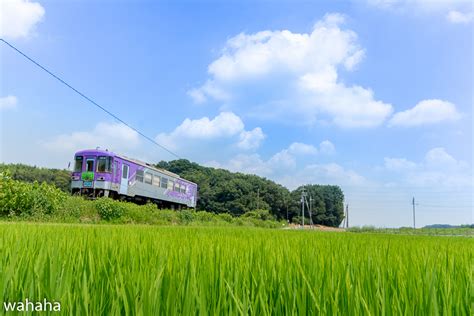 鉄道風景写真が撮りたーいっ！ 北条鉄道 夏の風景！