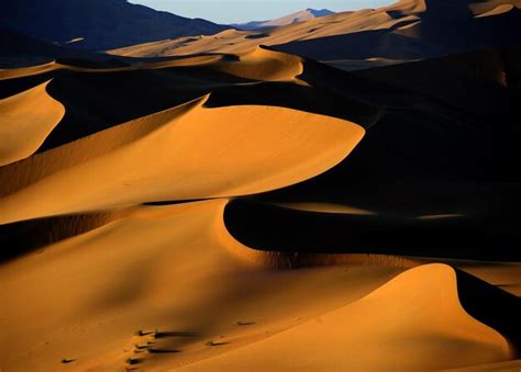 Premium Photo Idyllic Shot Of Desert During Sunset