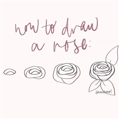 Learn How To Draw Roses With These Easy References And Tutorials