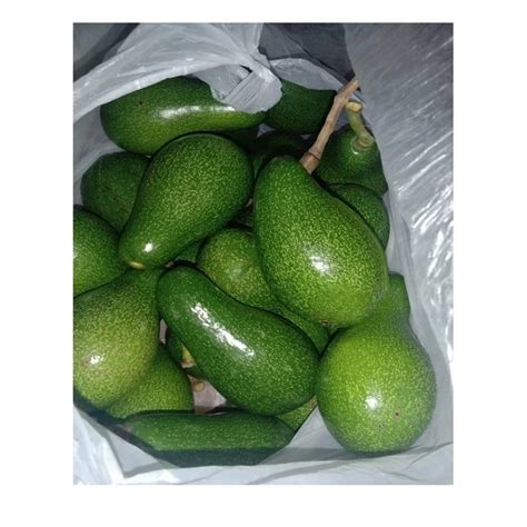 Cheap Fresh Avocado Made In Thailand And Vietnam For Export With The Best Price Standard High