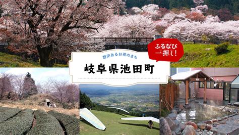 【ふるなびイチ押し】「池田山とお茶」のまち！岐阜県池田町をご紹介 ふるなび公式ブログ ふるさと納税discovery