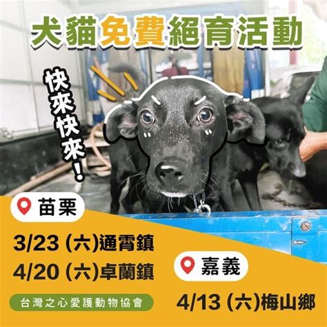 苗栗 嘉義｜犬貓免費絕育活動報名中🔥】 台灣之心愛護動物協會 Hotac