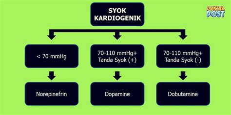 Terapi Farmakologis Pada Syok Kardiogenik Dokterpost