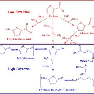 A Summary For The Proposed Reaction Pathways And Corresponding Products