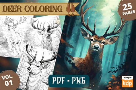 Realistic Deer Coloring Pages Vol Graphic By Sahad Stavros Studio