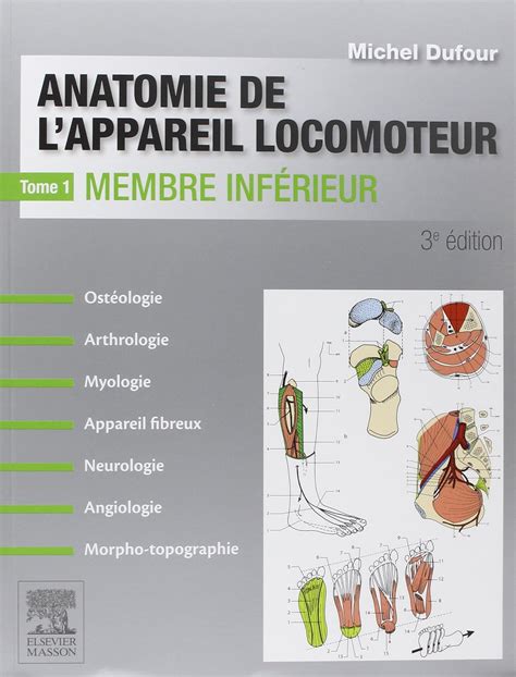 Amazon Fr Anatomie De L Appareil Locomoteur Tome Membre Inf Rieur