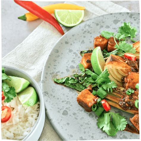 Tempeh Teriyaki Tofu Nagel