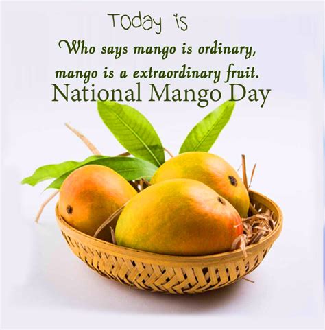 Mango Day Lynde Ronnica