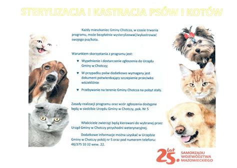 Sterylizacja I Kastracja Ps W I Kot W W Chotczy Mojelipsko Info