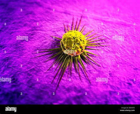 Cancer Cell Artwork Stock Photo Alamy