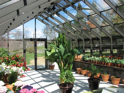 Теплица по Митлайдеру купить в Краснодаре (29 фото)