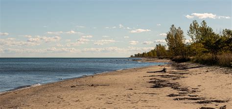 Rondeau Provincial Park has 11 km of sand dune beaches & Carolinian forests