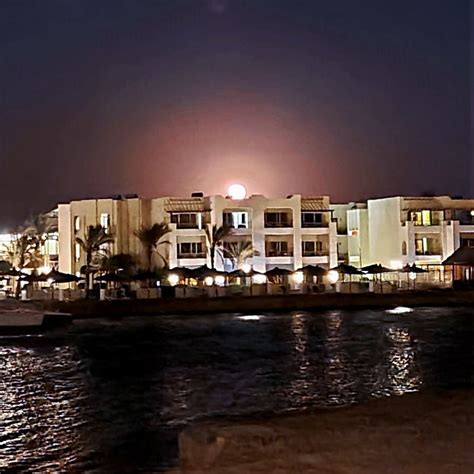 Best restaurants in El Gouna | Let’s talk about food!