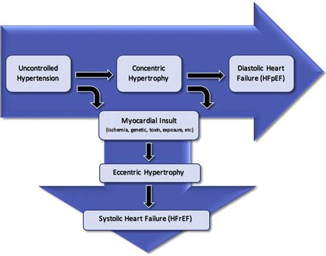 Hypertension And Heart Failure Heart Failure Clinics