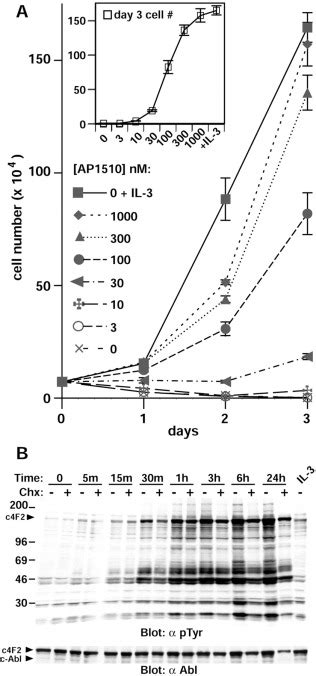 Activation Of C Abl Kinase Activity And Transformation By A Chemical