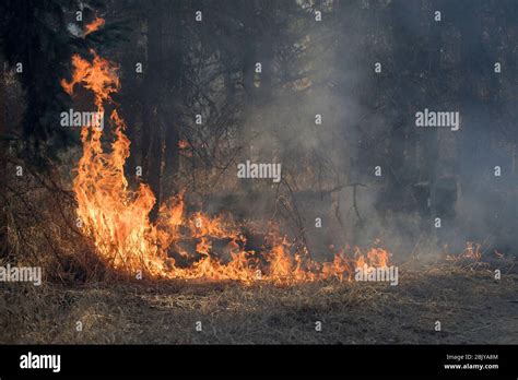 American Bush Fire Hi Res Stock Photography And Images Alamy