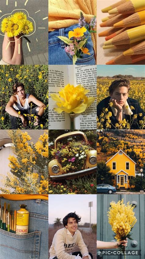 Yellow Mood Board