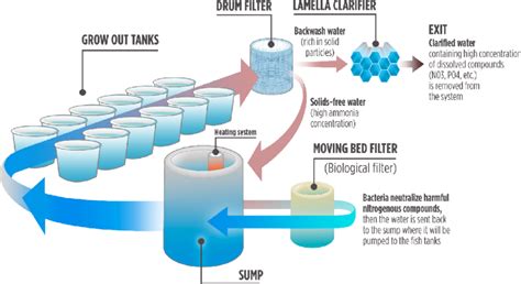 Schematic Design Of The Recirculated Aquaculture System Ras Farm