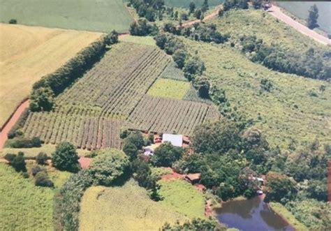 Ch Caras Venda Na Zona Rural Em Pranchita Chaves Na M O