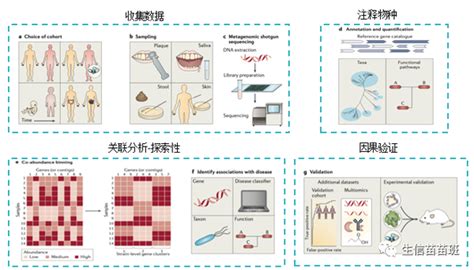 宏基因组关联分析的思路和方法 知乎